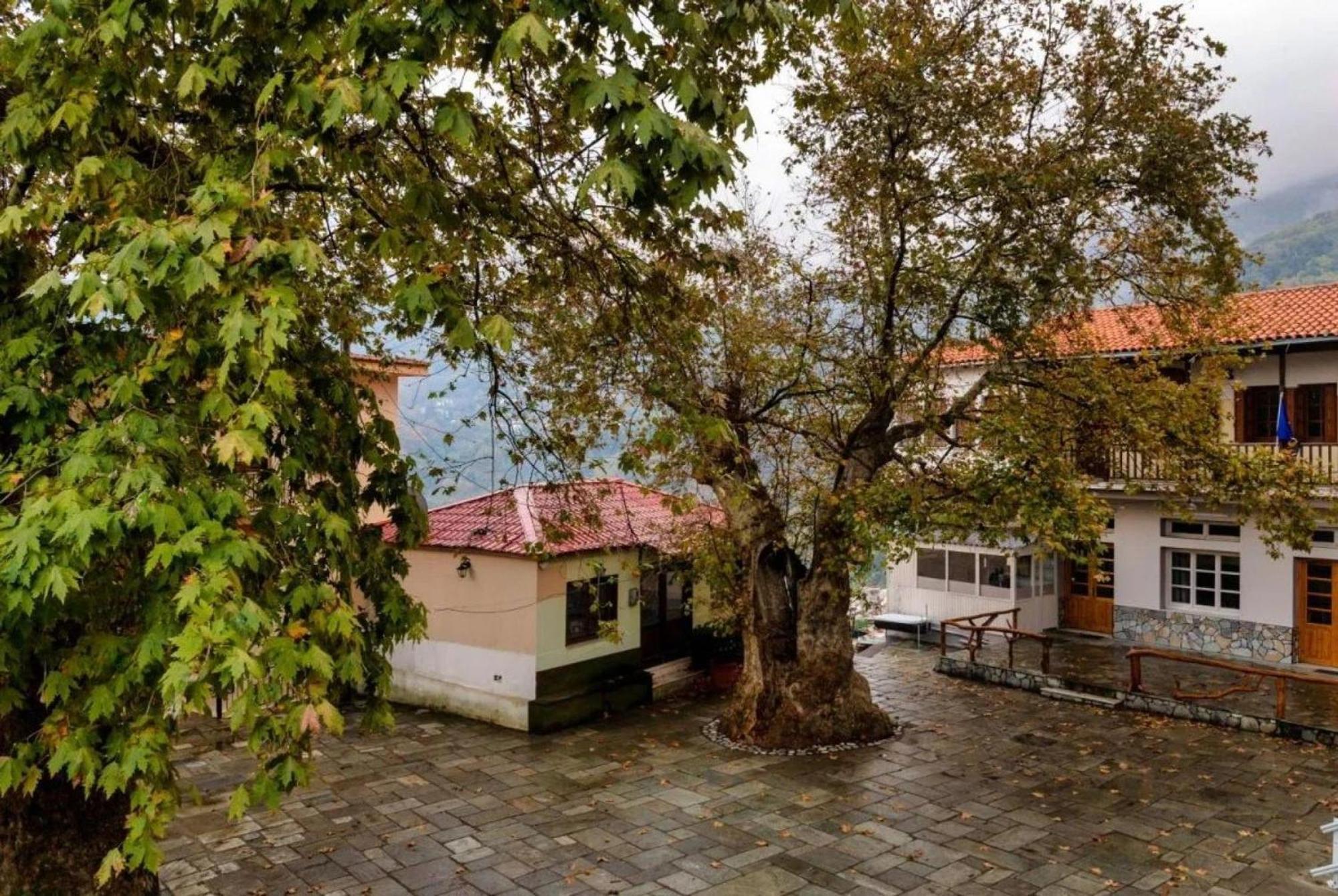 Apartamento Hara'S House Pelion Makrirrákhi Exterior foto