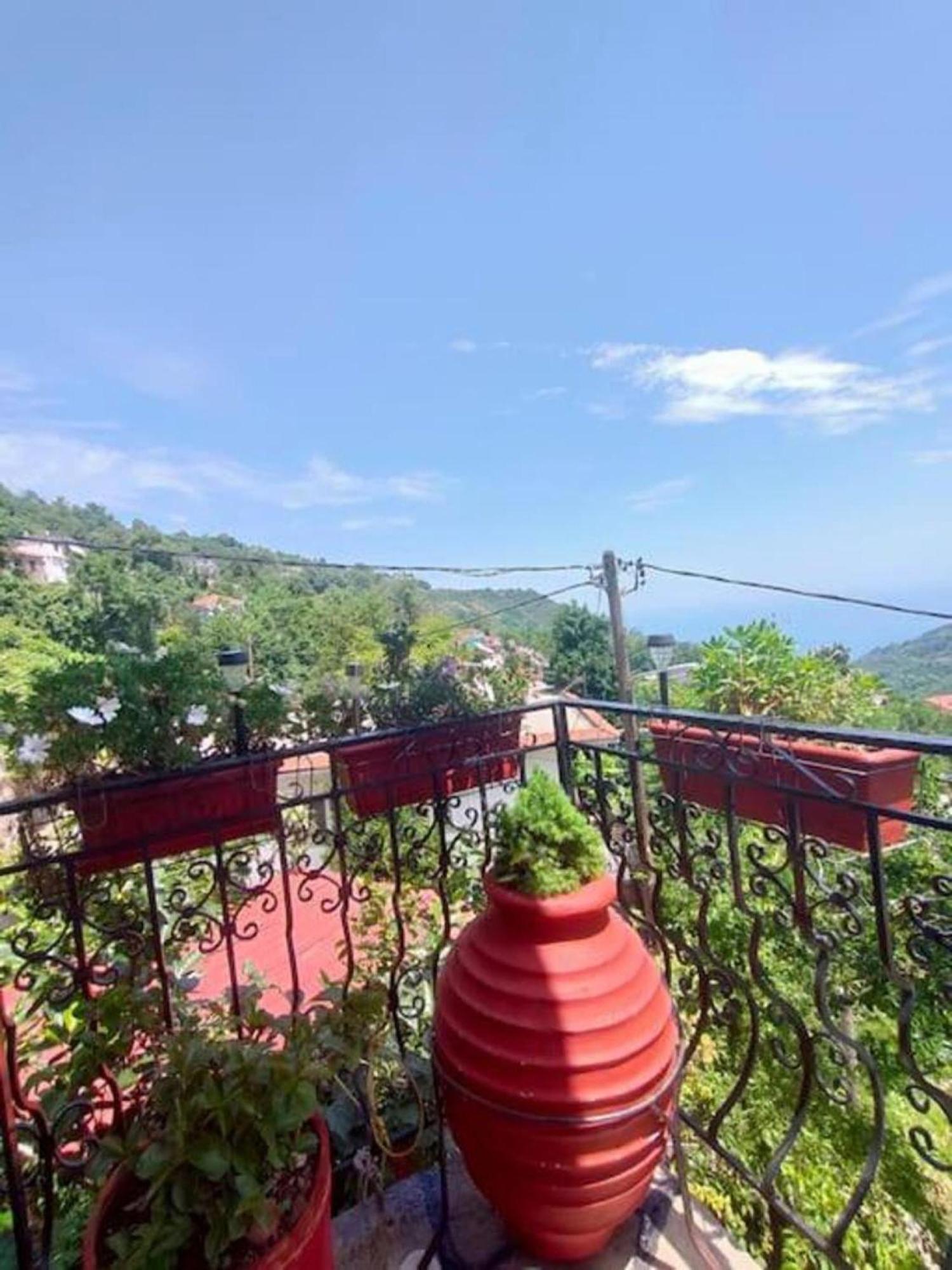 Apartamento Hara'S House Pelion Makrirrákhi Exterior foto