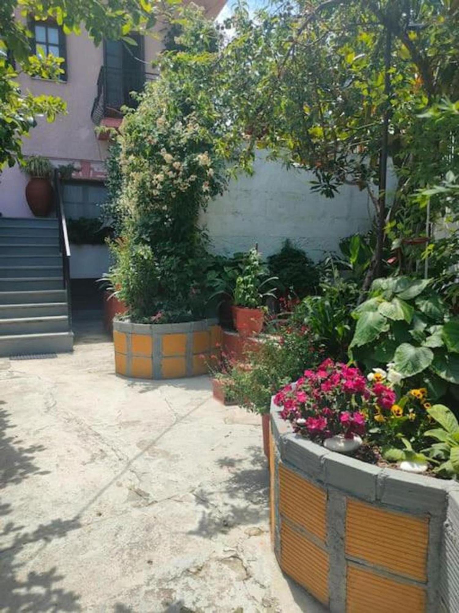 Apartamento Hara'S House Pelion Makrirrákhi Exterior foto